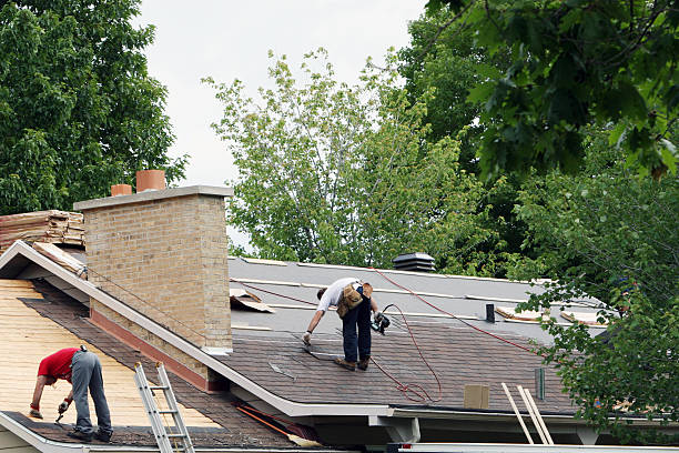 Roof Gutter Cleaning in Montpelier, ID