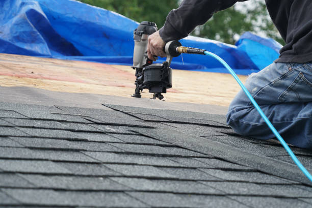 Best Flat Roof Repair Services  in Montpelier, ID
